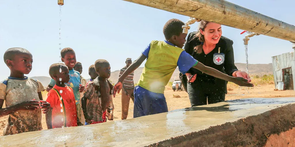 International Red Cross & Red Crescent Movement